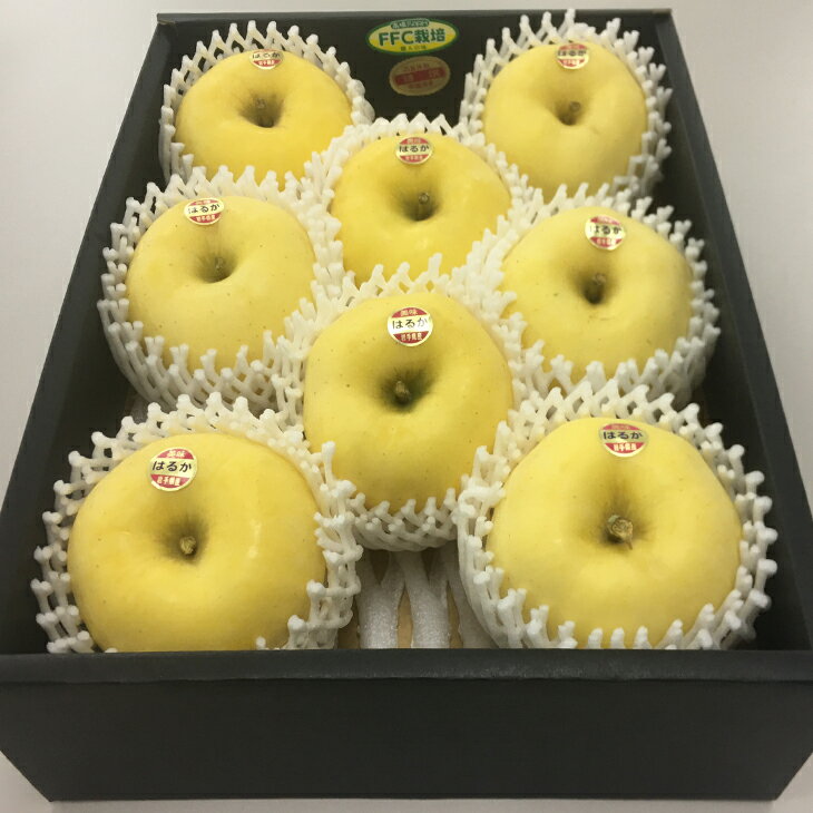 【ふるさと納税】はるか3kg いわて花巻　ふるさと納税 りんご サムネイル2