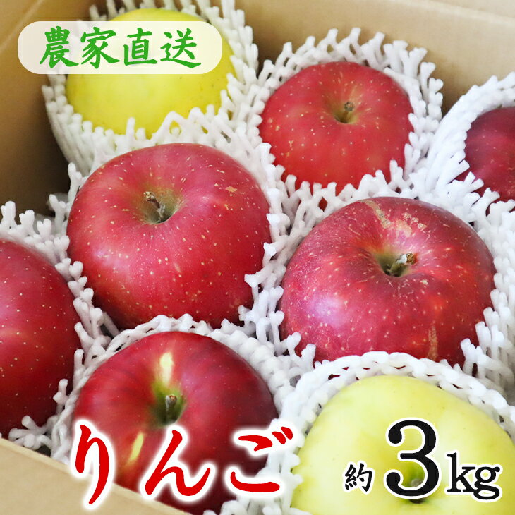 花巻産りんご ミックス 贈答用 詰め合わせ（約3kg） ふるさと納税 りんご