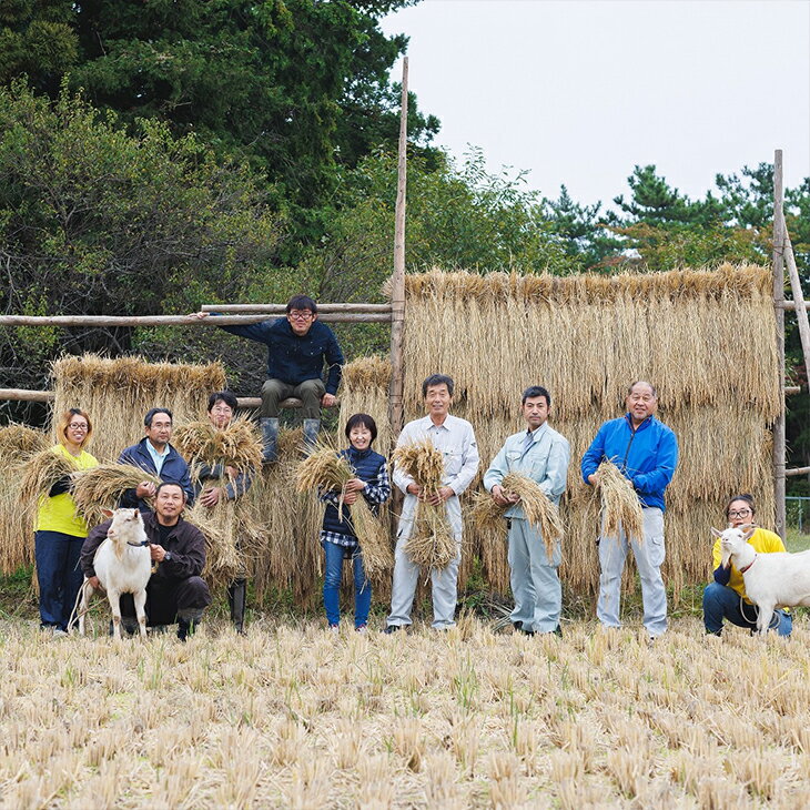 【ふるさと納税】〈令和7年産〉安心みずほ米 ひとめぼれ 玄米 ≪選べる内容量 5kg 10kg 20kg≫ 安心 有機 お米 - 画像3