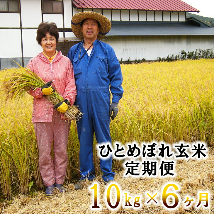 ひとめぼれ 【6ヶ月定期便】玄米 減農薬栽培 10kg (5kg×2袋） 令和7年産 お米 ふるさと納税 米 定期便
