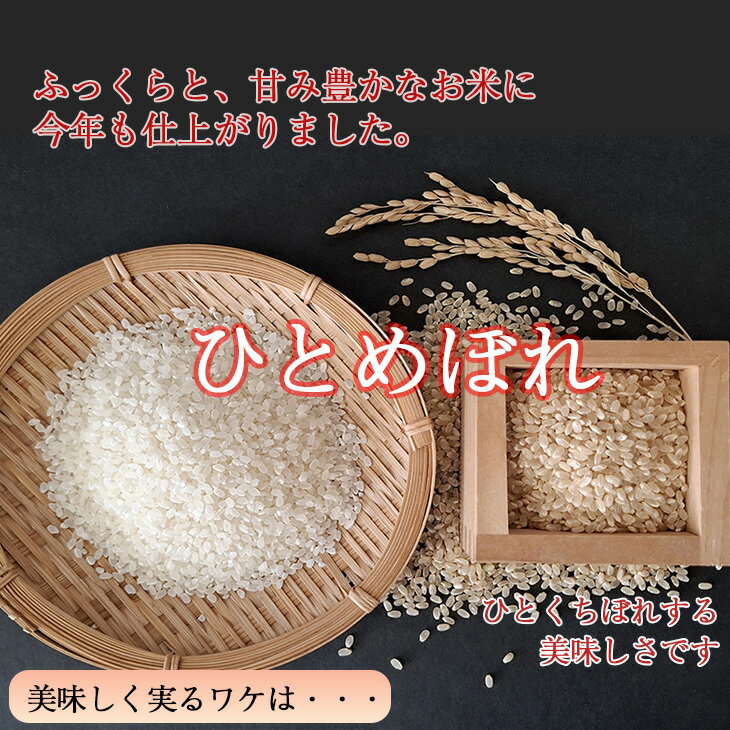 【ふるさと納税】ひとめぼれ 玄米 減農薬栽培 ＜選べる内容量＞ 5kg 10kg 農家直送 岩手県 花巻産 令和7年産 - 画像3