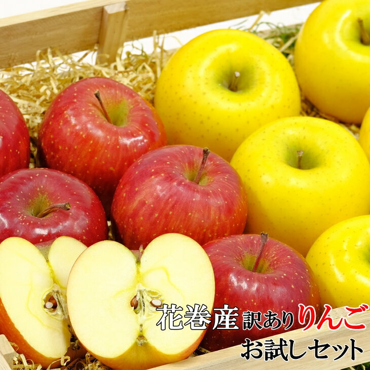 イーハトーヴ 訳あり 家庭用 ふるさと納税 りんご お試し（2kg以上）セット 岩手県花巻産 ふじ シナノゴールド