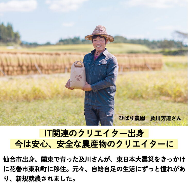 【ふるさと納税】ひばり農園の無農薬ワクワク野菜セット《 予約受付 6月より発送開始》 お楽しみ 野菜 詰め合わせ 7〜10品 無農薬 野菜 サムネイル3