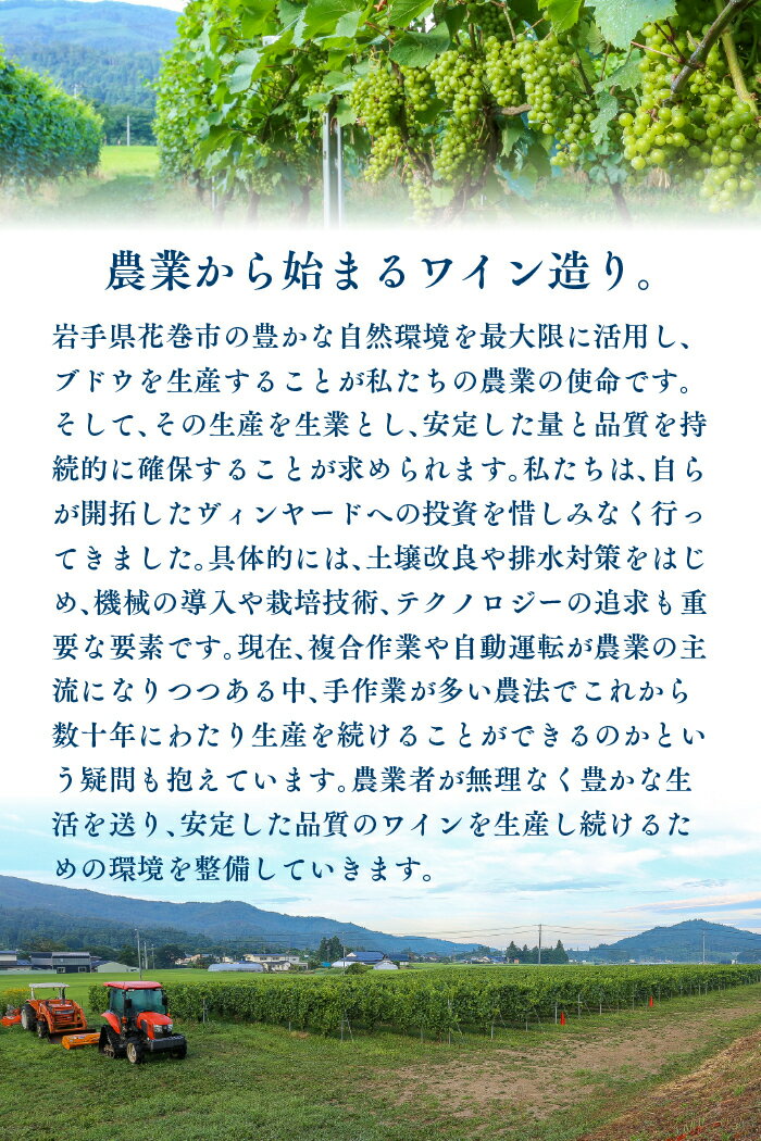 【ふるさと納税】Vespinae（ベスピナエ）2023 岩手 ロゼ スパークリング 750ml×1本 ワイン サムネイル3