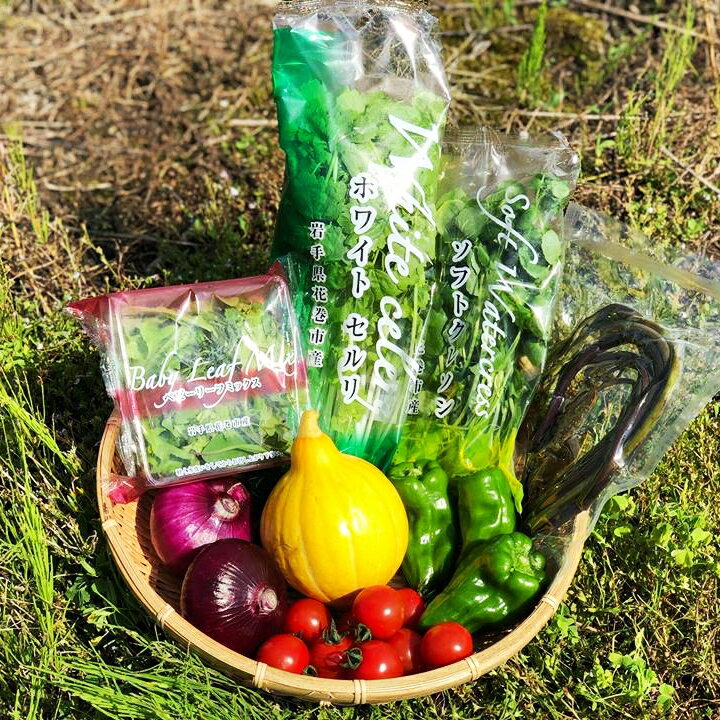 【ふるさと納税】花巻産 旬野菜セット5〜7種「賢治の豊作」 新鮮 野菜 くだもの 詰め合わせ サムネイル2