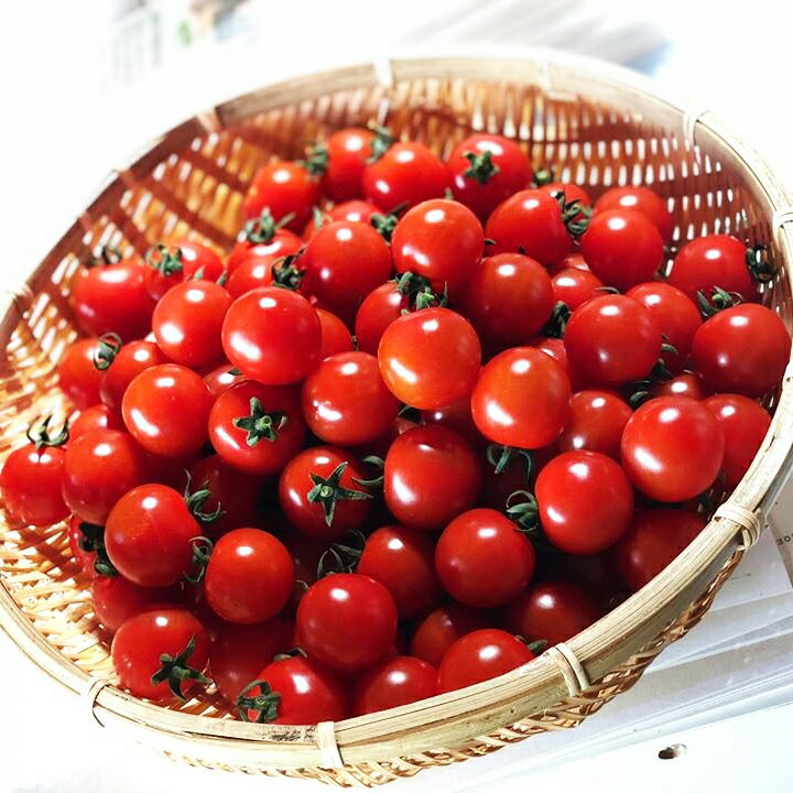 【ふるさと納税】花巻産 旬野菜セット5〜7種「賢治の豊作」 新鮮 野菜 くだもの 詰め合わせ サムネイル3