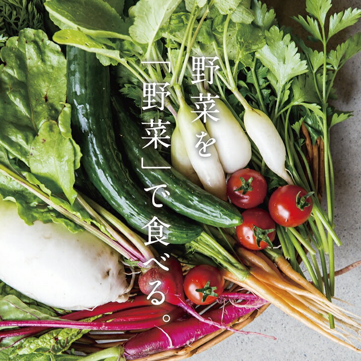 【ふるさと納税】無添加 野菜 ドレッシング 3本セット お楽しみ ギフト サムネイル2