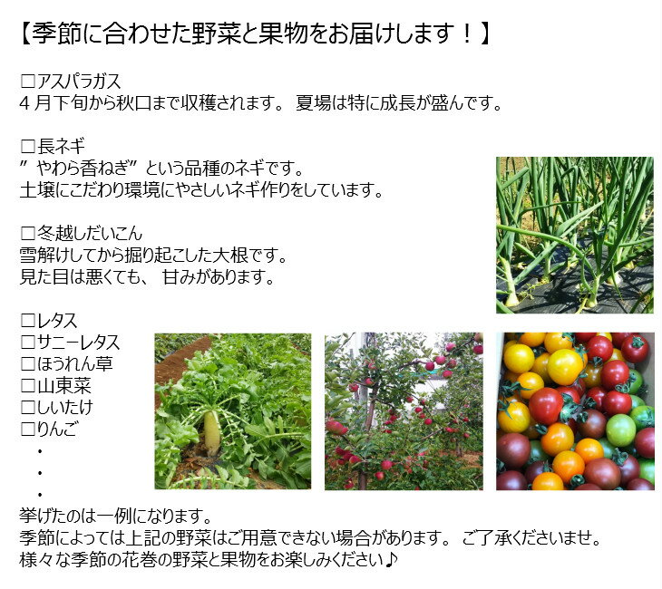 【ふるさと納税】いわて花巻産 イーハトーヴ野菜セット ≪選べる内容量！ お試しセット(6品〜) or 満足セット(9品〜) or もりもりセット(11品〜)≫ 旬 野菜 果物 お楽しみ サムネイル3