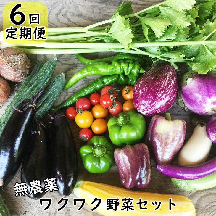 【定期便 6回】 ひばり農園の無農薬ワクワク 野菜セット 《 予約受付 6月より発送開始》 ふるさと納税 野菜 定期便
