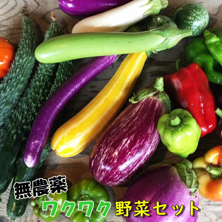 ひばり農園の無農薬ワクワク野菜セット《 予約受付 6月より発送開始》 お楽しみ 野菜 詰め合わせ 7〜10品 無農薬 野菜