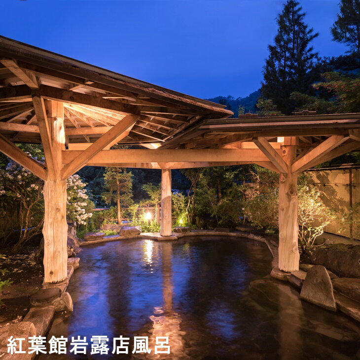 【ふるさと納税】 花巻温泉に泊まる花巻の一人旅 旅行 岩手県 観光 ホテル 旅館 宿泊 ふるさと納税 宿泊券 温泉 サムネイル2
