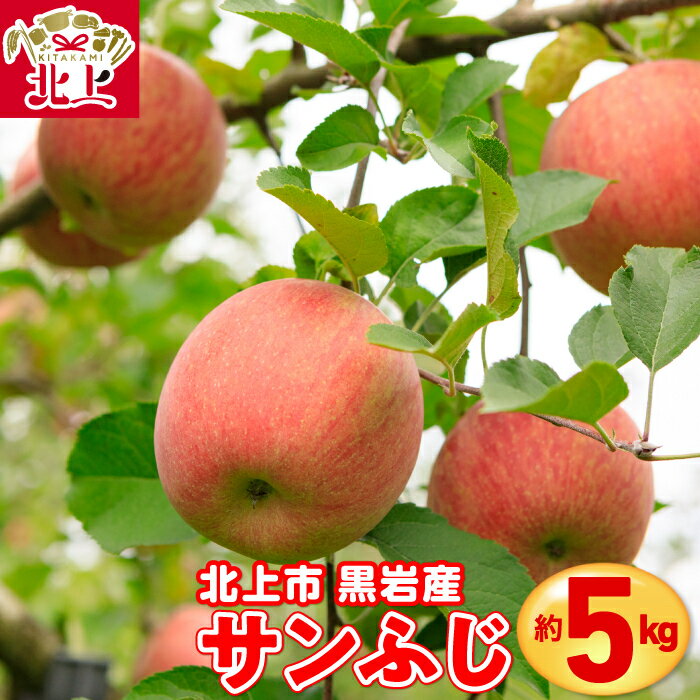 りんご ( サンふじ ) 約 5kg 岩手産 国産 新鮮 産地直送 北上市 黒岩産 リンゴ 林檎 フルーツ 果実 果物 サンフジ お歳暮 ギフト 贈り物 プレゼント 産地直送 送料無料 岩手県 北上市 E0310 くろいわ産地直売所
