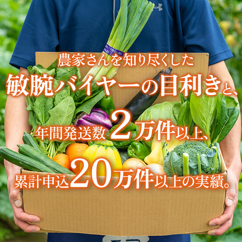 【ふるさと納税】 野菜 セット 旬 野菜 詰め合わせ 選べる 定期 回数 1回 〜 12回 野菜セット レシピ 付き 新鮮 定期便 岩手 北上 野菜 ランキング 1位 ！お試し バーベキュー BBQ おすすめ 冬 春 国産 季節の野菜 詰合せ BOX送料無料 人気 P&Cリンク 岩手県 北上市 サムネイル3