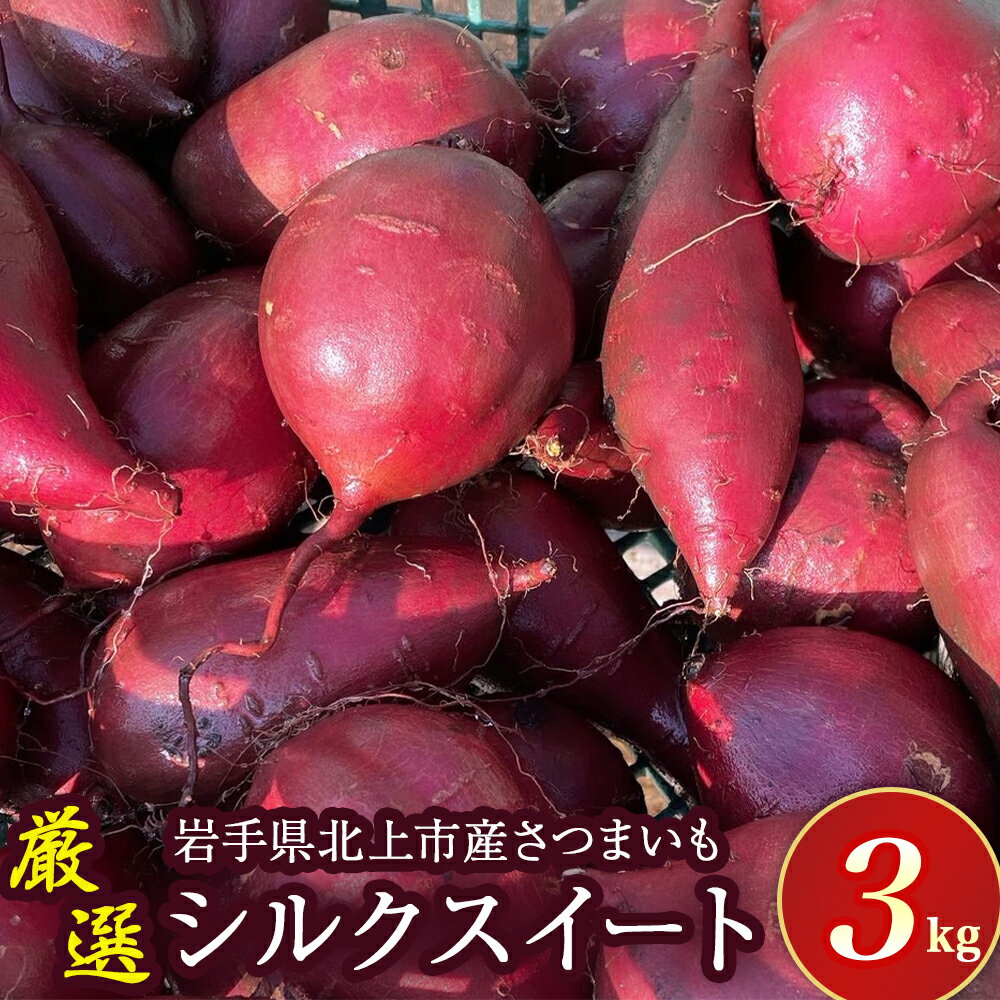 【 予約受付 2026年産 】 厳選 さつまいも シルクスイート 3kg 国産 サツマイモ さつま芋 野菜 岩手県 北上市 齋藤 智仁 B0400 産地直送 ※令和8年9月下旬より発送開始予定