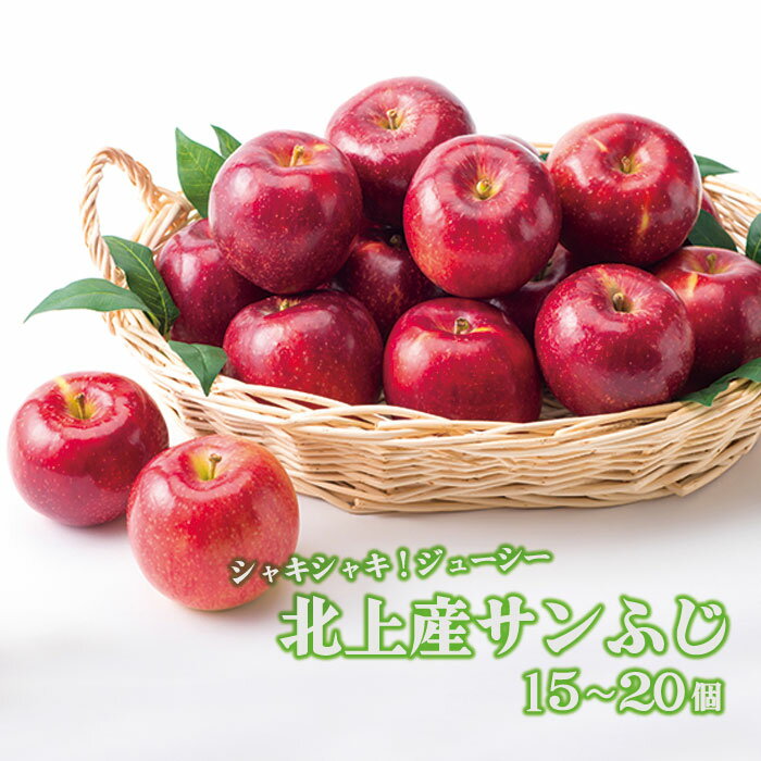 北上産 果汁たっぷり サンふじ りんご 15〜20個 国産 岩手 リンゴ 林檎 アップル 旬 果物 フルーツ 岩手県 北上市 C0097 fruit おやつ 採れたて フレッシュ ジューシー 贈答 プレゼント 八百屋 青果 フルーツきやなぎ
