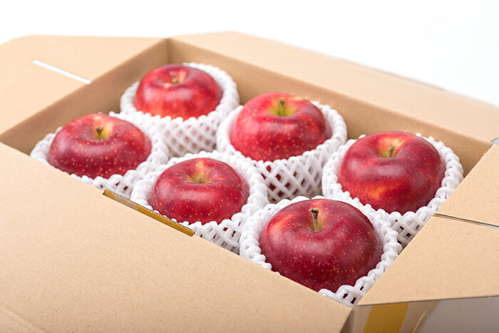 【ふるさと納税】北上産 果汁たっぷり サンふじ りんご 15〜20個 国産 岩手 リンゴ 林檎 アップル 旬 果物 フルーツ 岩手県 北上市 C0097 fruit おやつ 採れたて フレッシュ ジューシー 贈答 プレゼント 八百屋 青果 フルーツきやなぎ サムネイル3