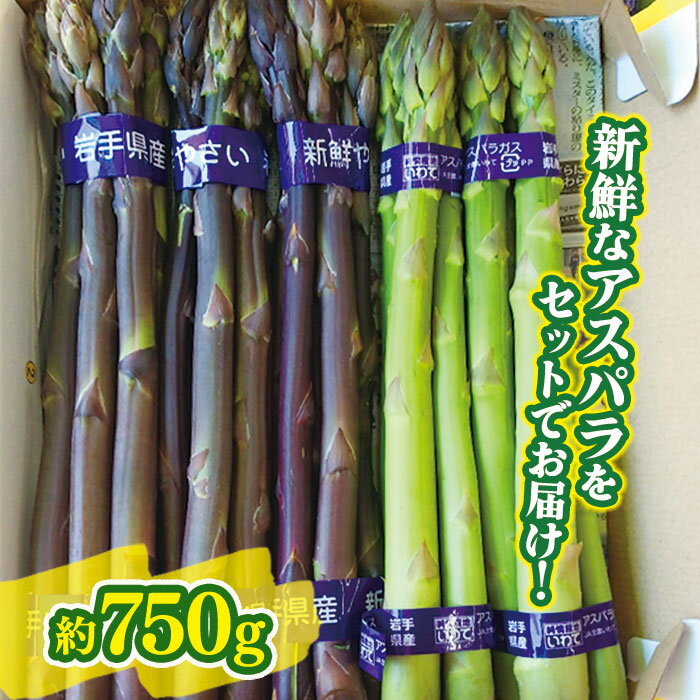 北上産 アスパラ ＼ 予約受付 2026年産 5月上旬 発送開始予定 ／ パープル アスパラ ・ グリーン アスパラ 計約 750g 旬 採れたて 紫 アスパラガス 食べ比べ 贈答 プレゼント 野菜 岩手県 北上市産 八百屋 青果 フルーツきやなぎ