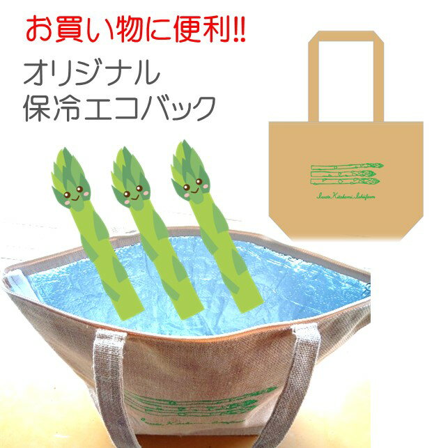 【ふるさと納税】 採りたて 春の アスパラガス 約 1.2kg ＆オリジナル 保冷 エコバッグ セット 夏 野菜 新鮮 野菜 グリーン アスパラ 産地直送 国産 不揃い サイズ アスパラ王子 石井建一 岩手県 北上市 D0433 - 画像3