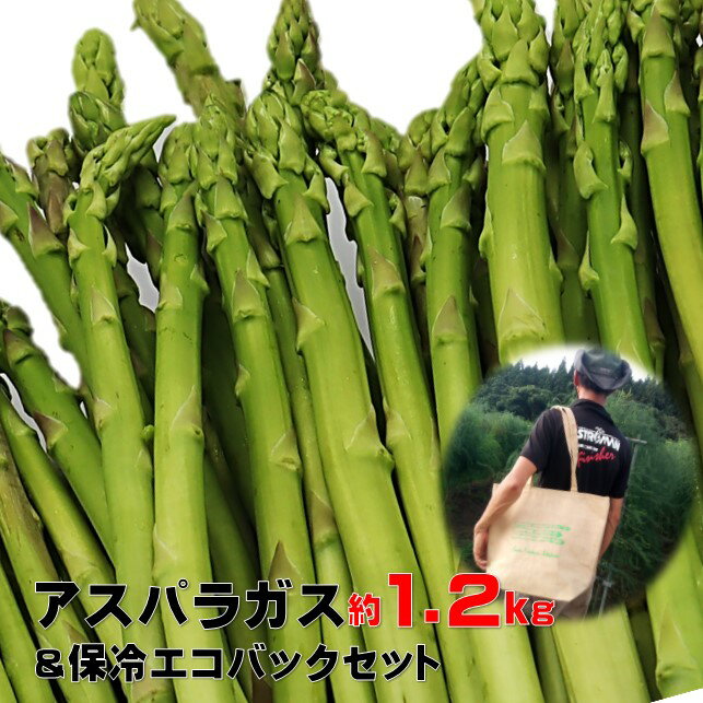 採りたて 春の アスパラガス 約 1.2kg ＆オリジナル 保冷 エコバッグ セット 夏 野菜 新鮮 野菜 グリーン アスパラ 産地直送 国産 不揃い サイズ アスパラ王子 石井建一 岩手県 北上市 D0433