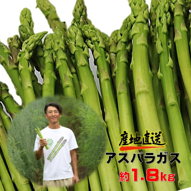 採りたて 春の アスパラガス 約 1.8kg 新鮮 野菜 グリーン アスパラ 産地直送 国産 岩手県 北上市産 旬 不揃い サイズ アスパラ王子 石井建一 岩手県 北上市 D0432 春 夏 野菜
