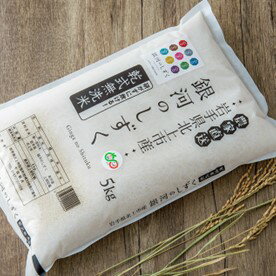 令和7年産 北上産 無洗米 米 『 銀河のしずく 』 5kg 2025年産 お米 ご飯 国産 産地直送 ブランド米 オリジナル 品種 千田さん のお米 千田敏夫 岩手県 北上市 D0545