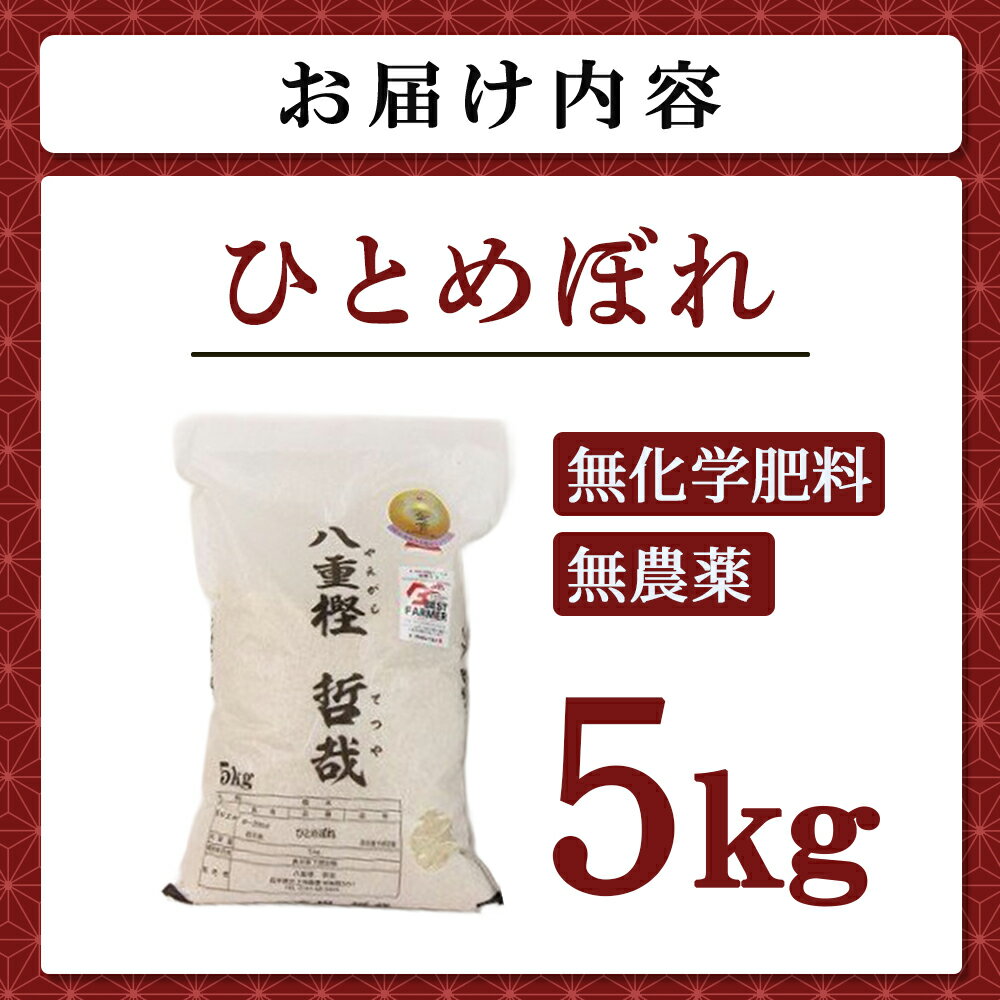 【ふるさと納税】【 予約受付！令和8年産 】 ひとめぼれ 5kg 九代目 八重樫哲哉 が作った お米 米 白米 岩手県 北上市 E0234 - 画像2