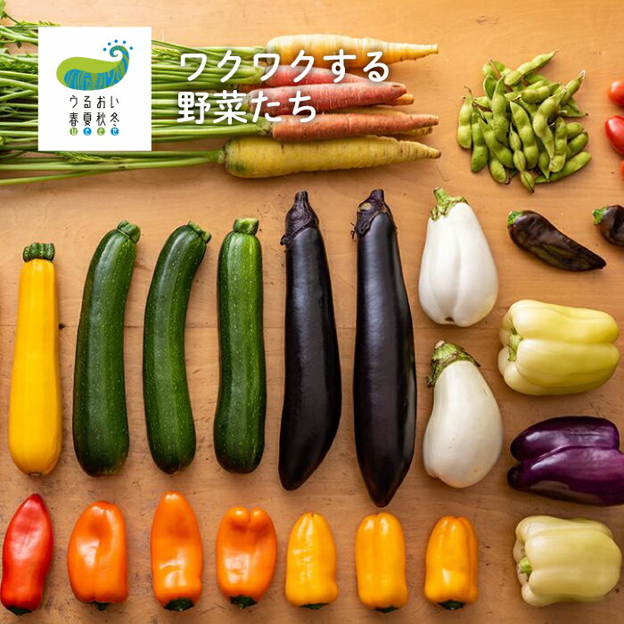 【ふるさと納税】農園自慢 彩り 野菜セット（ 5品 以上〜）【予約受付 6月発送開始予定】旬 野菜 詰め合わせ シェフ御用達 国産 うるおい春夏秋冬 やさい セット 岩手県 北上市 A0235 季節の野菜 西洋野菜 紫人参 丸なす 水なす 長なす とうがらし カラフル 野菜 お試し - 画像2