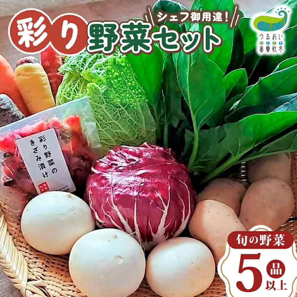 農園自慢 彩り 野菜セット（ 5品 以上〜）【予約受付 6月発送開始予定】旬 野菜 詰め合わせ シェフ御用達 国産 うるおい春夏秋冬 やさい セット 岩手県 北上市 A0235 季節の野菜 西洋野菜 紫人参 丸なす 水なす 長なす とうがらし カラフル 野菜 お試し
