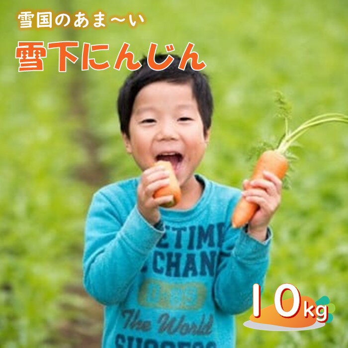 季節限定 ～3/31までの受付 雪国のあまーい 雪下にんじん 約10kg 人参嫌いの息子のために開発！ 野菜 人参 にんじん 甘い野菜 10kg 国産 東北 岩手 季節限定 産地直送 食育 岩手県 北上市 D0145