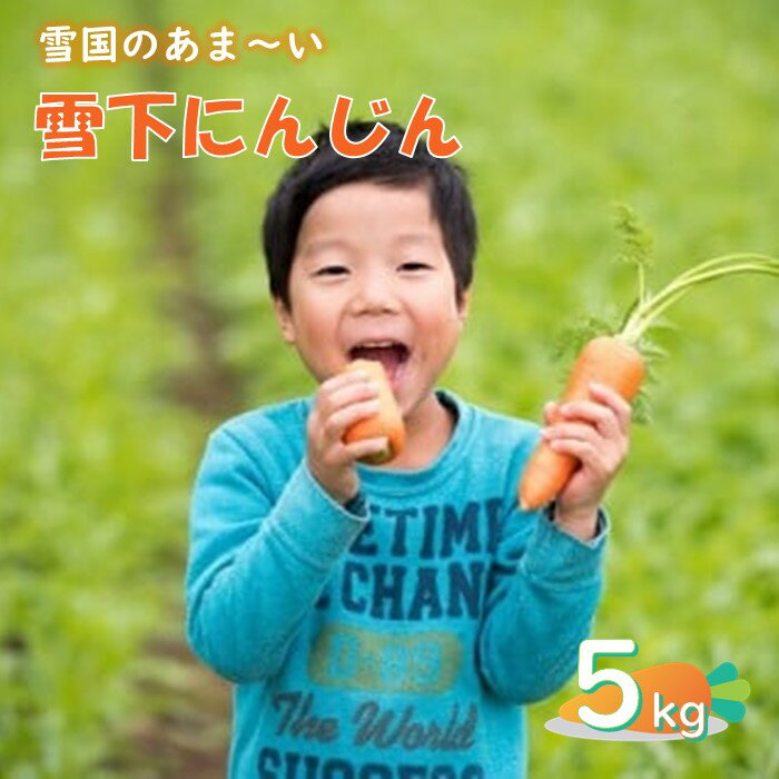 季節限定 ～3/31までの受付 雪国のあまーい 雪下にんじん 約 5kg 人参嫌いの息子のために開発！ 野菜 5kg 人参 にんじん 甘い野菜 国産 東北 岩手 産地直送 食育 岩手県 北上市 C0074