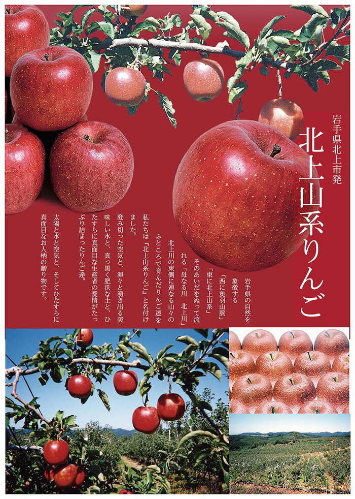 【ふるさと納税】北上山系 りんご 「 サンふじ 」【 予約受付 /2025年 11月発送開始 】玉数おまかせ 3kg ・ 5kg ・ 10kg から選べる【蜜入り 保証 】さんふじ 林檎 展勝地 桜の名所 展勝地レストハウス 岩手県 北上市 H0149 サムネイル2