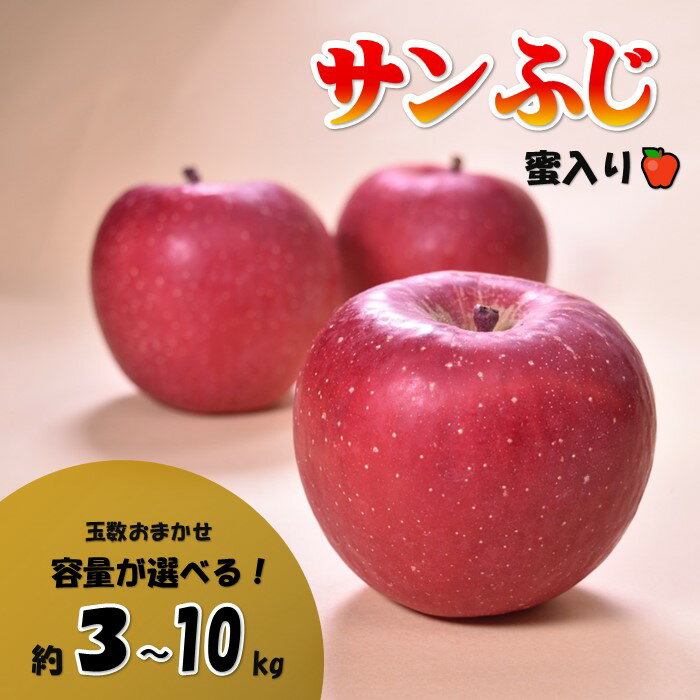 北上山系 りんご 「 サンふじ 」【 予約受付 /2025年 11月発送開始 】玉数おまかせ 3kg ・ 5kg ・ 10kg から選べる【蜜入り 保証 】さんふじ 林檎 展勝地 桜の名所 展勝地レストハウス 岩手県 北上市 H0149
