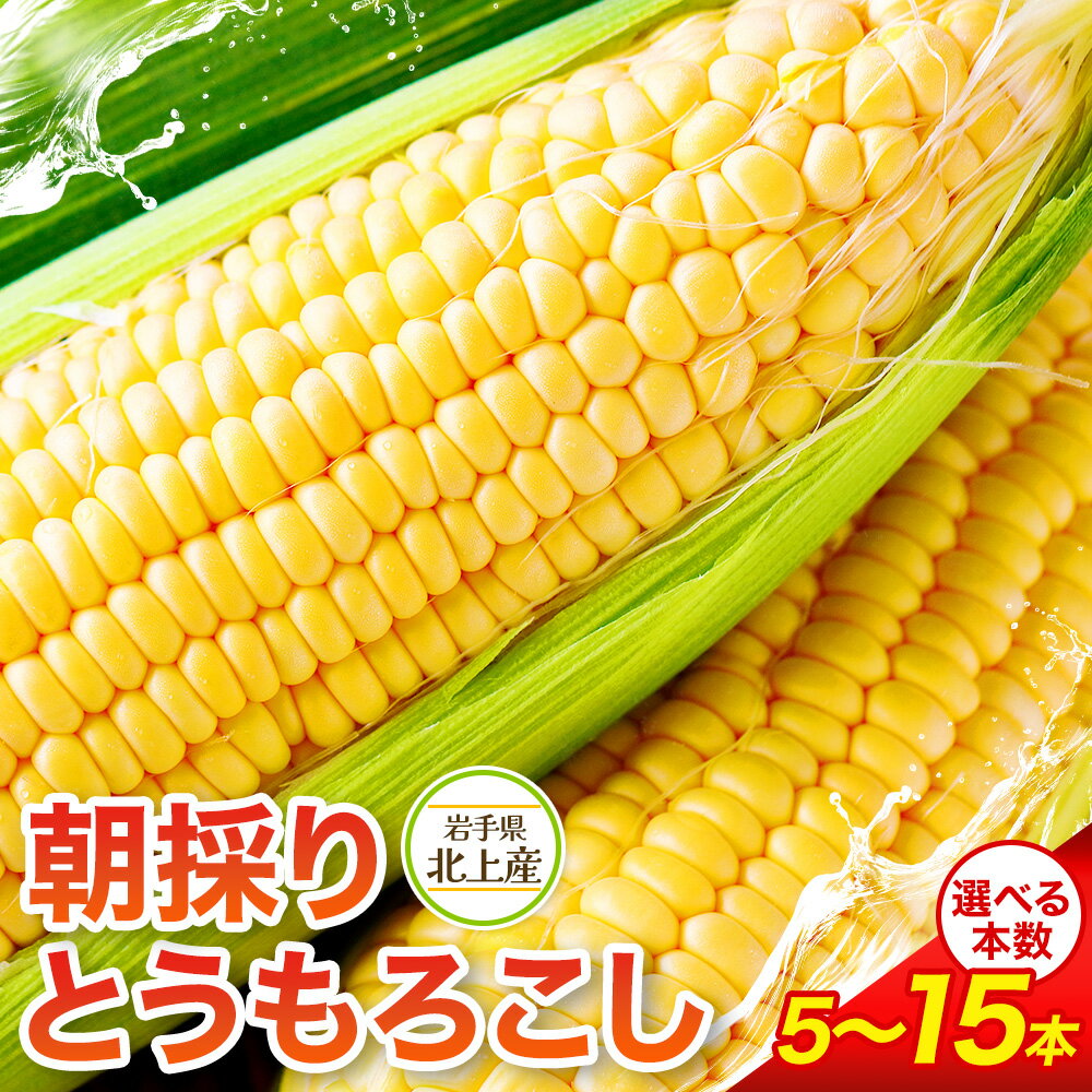予約受付【2026年7月中旬頃〜発送開始】北上産のとうもろこし 5本 ・ 10本 ・ 15本 夏 旬 野菜 おやつ BBQ グリル 焼きとうもろこし 朝採 採れたて フレッシュ コーン 徳用 大容量 岩手県 北上市 展勝地 桜の名所 展勝地レストハウス