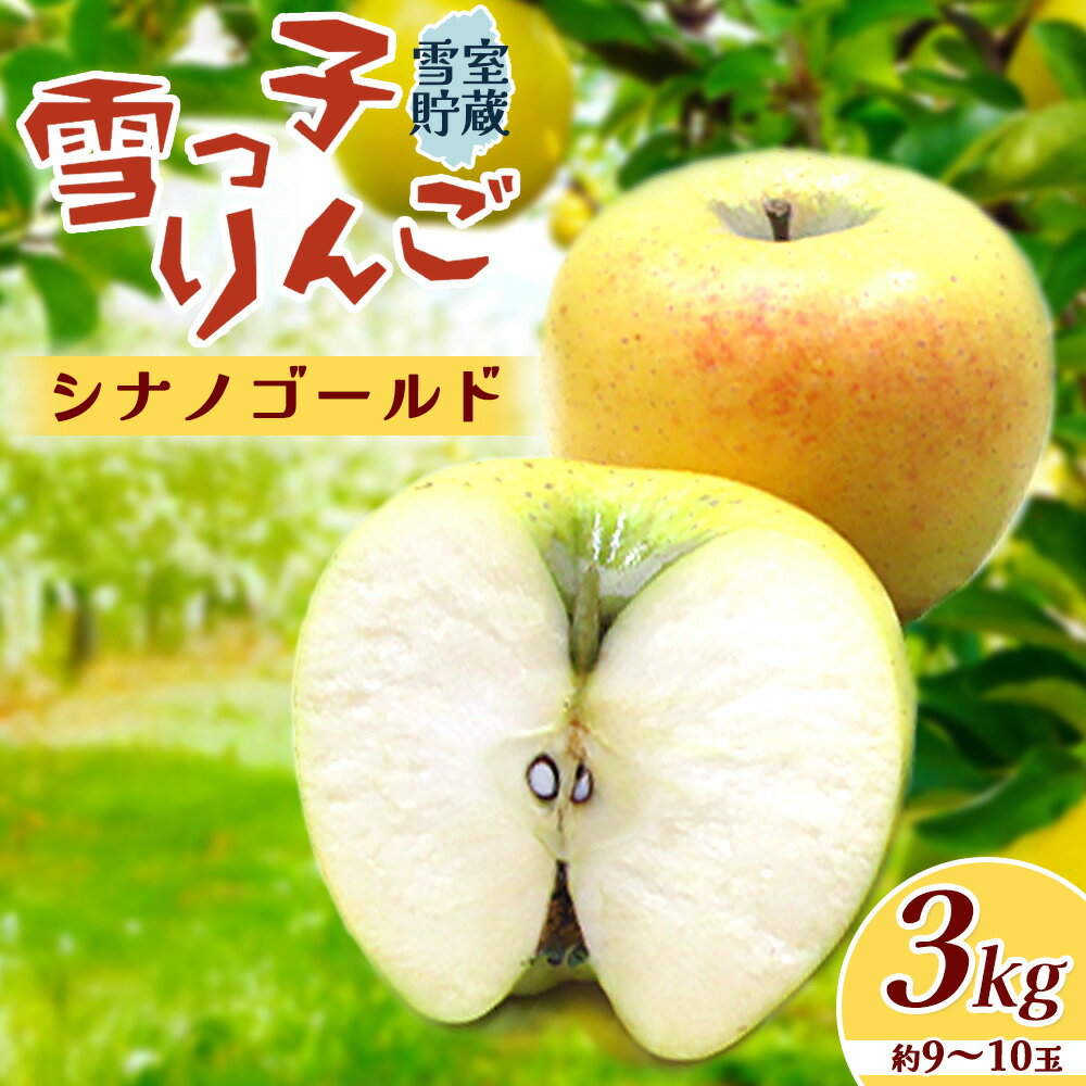 【 予約受付 /2026年 4月発送 】 雪っ子 りんご シナノゴールド 3kg 5kg 10kg から選択可能 数量限定 リンゴ 林檎 果物 フルーツ 果実 贈答 おすそ分け シェア 雪室貯蔵 雪っ子りんご 東北 岩手 土産 岩手県 北上市 展勝地レストハウス D0479