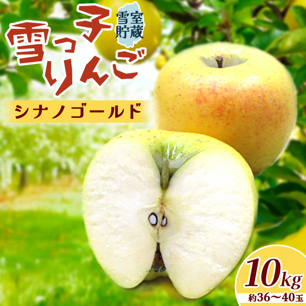 【ふるさと納税】【 予約受付 /2026年 4月発送 】 雪っ子 りんご シナノゴールド 3kg 5kg 10kg から選択可能 数量限定 リンゴ 林檎 果物 フルーツ 果実 贈答 おすそ分け シェア 雪室貯蔵 雪っ子りんご 東北 岩手 土産 岩手県 北上市 展勝地レストハウス D0479 サムネイル3