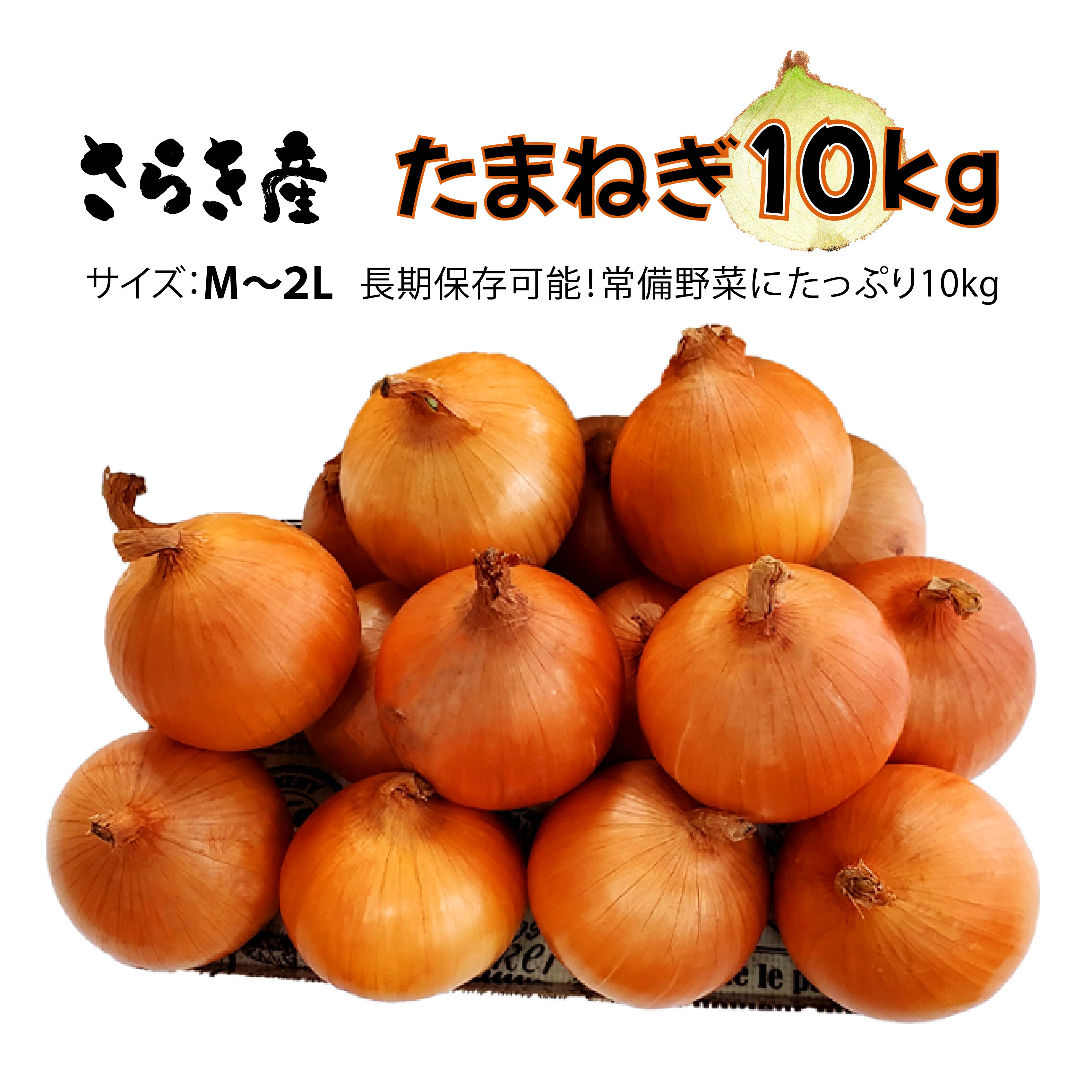 たまねぎ 10kg 令和8年産 予約受付/7月発送開始予定 さらき産 新鮮 野菜 タマネギ 玉葱 10キロ 更木 玉ねぎ オニオン 株式会社さらき 玉ねぎ 玉葱 カレー シチュー 新鮮 BBQ 焼肉 野菜 Mサイズ Lサイズ 2Lサイズ 岩手県 北上市 C0447