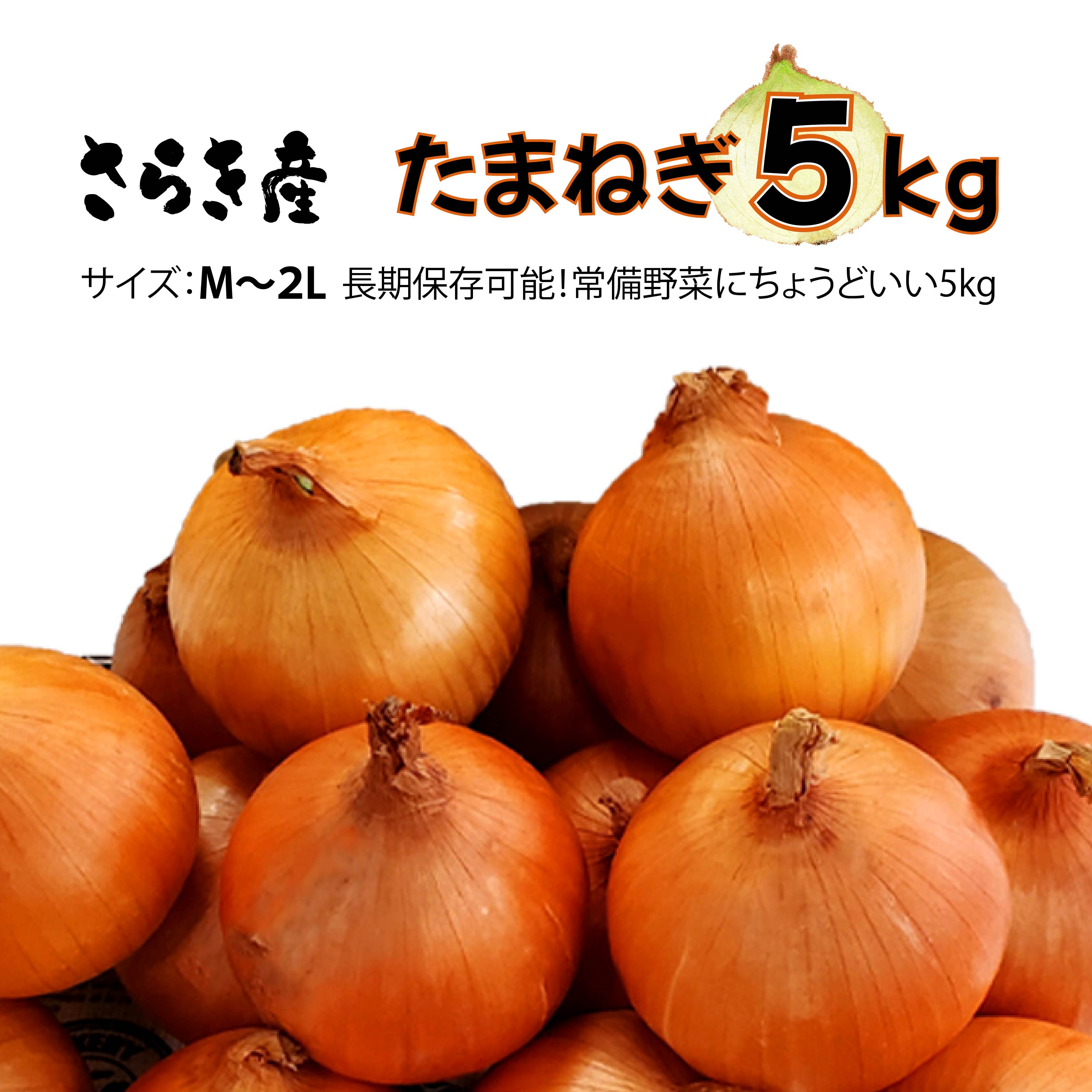 たまねぎ 5kg 令和8年産 予約受付/7月発送開始予定 さらき産 新鮮 野菜 タマネギ 玉葱 5キロ 国産 玉ねぎ 玉葱 カレー シチュー 新鮮 フレッシュ オニオン サラダ BBQ 焼肉 野菜 Mサイズ Lサイズ 2Lサイズ 株式会社さらき 岩手県 北上市 B0363