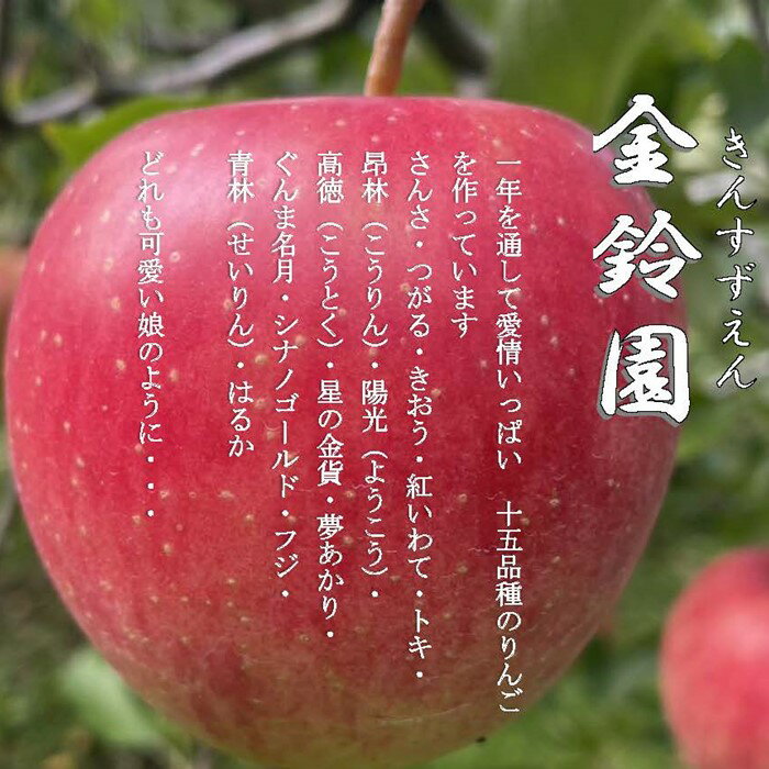 【ふるさと納税】＼予約受付 11月下旬より発送開始予定／【北上市産 りんご 】 はるか [ 家庭用 ] 5キロ (約13〜18玉) リンゴ 5kg 国産 産地直送 フルーツ 果物 岩手県 北上市 D0445 金鈴園 サムネイル3