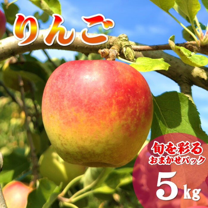 【 北上市産 りんご 】＼11月中旬発送予定／ 旬を彩るおまかせパック 【 贈答用 】5キロ (約13〜20玉) 2種 セット 国産 林檎 リンゴ 食べ比べ 詰合せ 産地直送 旬 秋 冬 おすすめ 5kg 東北 岩手 金鈴園 岩手県 北上市 D0452 季節限定