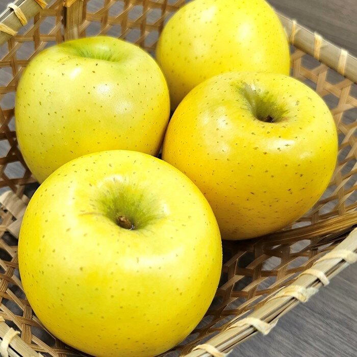 【ふるさと納税】＼予約受付 10月下旬以降順次発送予定 ／【 北上市産 りんご 】シナノゴールド 【 贈答用 】 3キロ (約8〜12玉) 国産 林檎 リンゴ 3kg 果物 フルーツ 果実 産地直送 旬 秋 冬 しなの ゴールド 送料無料 東北 岩手 金鈴園 岩手県 北上市 C0521 サムネイル2