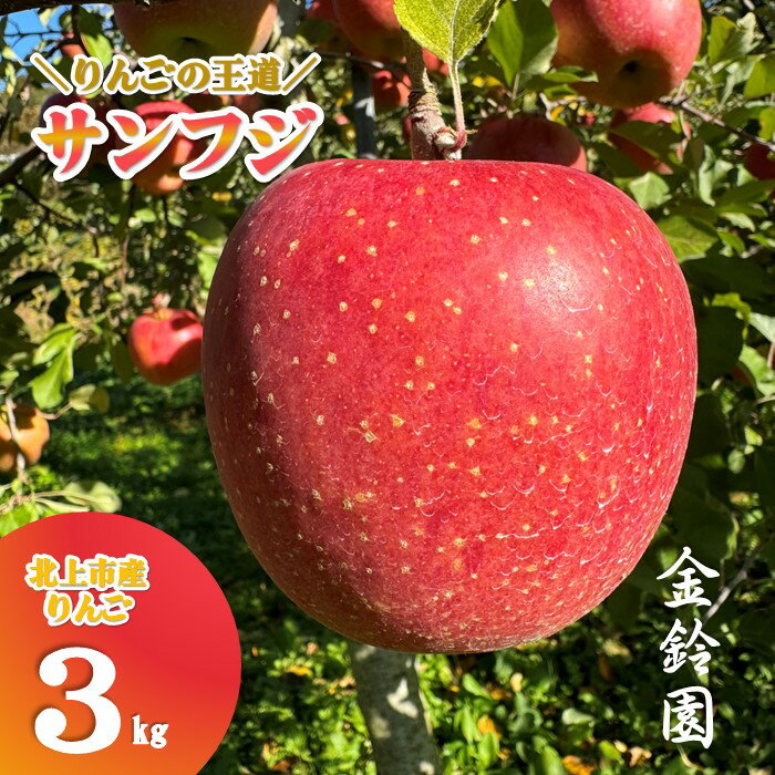 】＼予約受付 11月下旬より発送開始予定／【 北上市産 りんご 】サンフジ 【厳選玉】 3キロ (約8〜12玉) 贈答用 林檎 リンゴ サンふじ 3kg 国産 産地直送 送料無料 フルーツ 果物 果実 東北 岩手 金鈴園 岩手県 北上市 C0172 プレゼント 贈り物