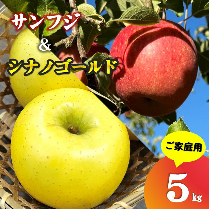 ＼ 予約受付 11月下旬発送開始予定 ／【 北上市産 りんご 】サンふじ ＆ シナノゴールド 【 家庭用 詰め合せ 】 5キロ セット (約13〜20玉) 林檎 リンゴ 5kg 食べ比べ サン ふじ 国産 産地直送 果物 東北 岩手 金鈴園 岩手県 北上市 D0453 訳あり