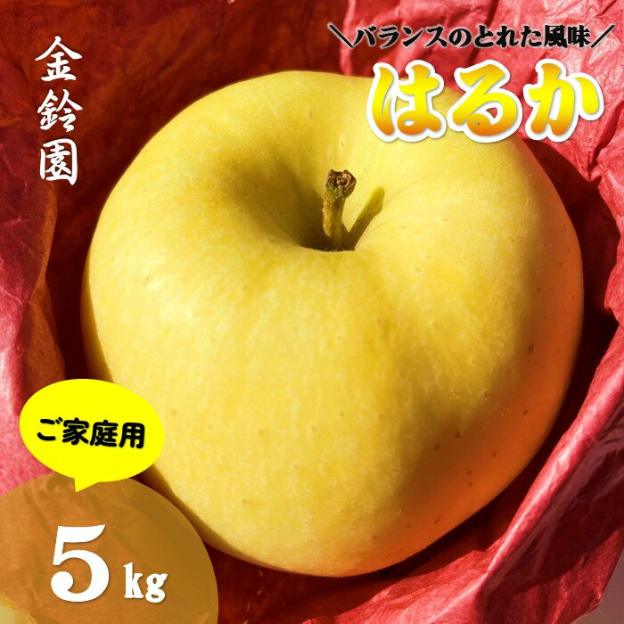 ＼予約受付 11月下旬より発送開始予定／【北上市産 りんご 】 はるか [ 家庭用 ] 5キロ (約13〜18玉) リンゴ 5kg 国産 産地直送 フルーツ 果物 岩手県 北上市 D0445 金鈴園