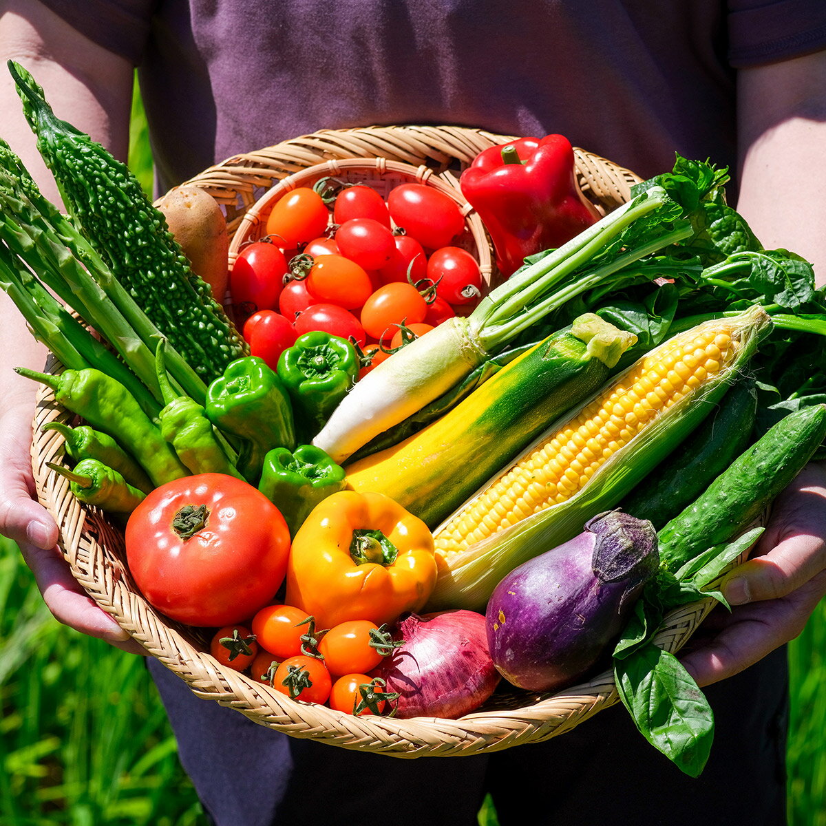 【ふるさと納税】遠野風の丘 季節 の 野菜 セット (5種類以上) / 道の駅遠野風の丘 産直 直送 旬 厳選 岩手県 遠野市 産 詰め合せ 選べる配送月 7月～10月 配送地域限定：東北 ～ 関東甲信越 新鮮 とれたて ベジタブル 仕送り おまかせ アウトドア 農家 お取り寄せ 送料無料 - 画像2
