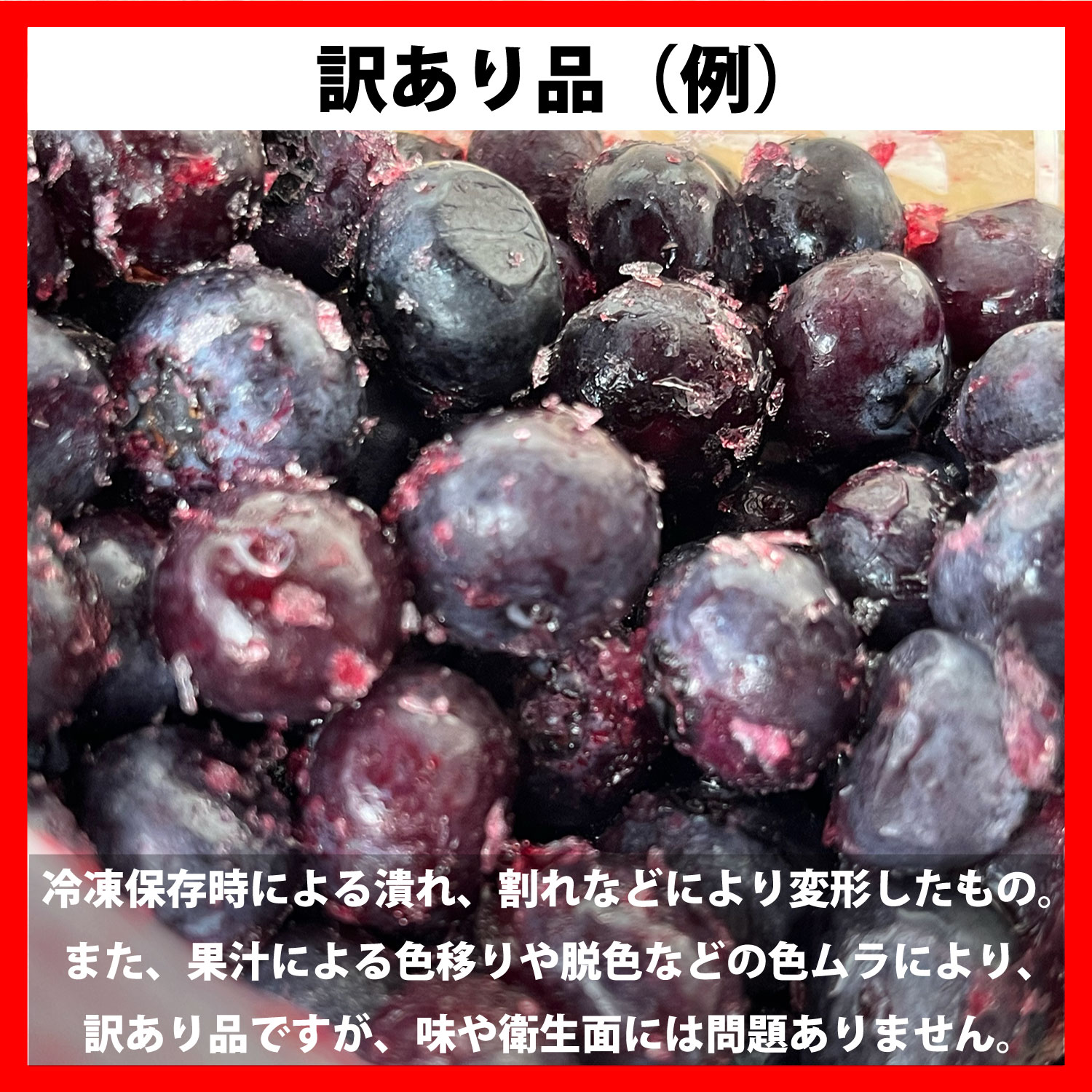 【ふるさと納税】訳あり 冷凍 ブルーベリー 栽培期間中 農薬不使用 無農薬 500g 1kg 選べる 容量 東北 岩手県 遠野市 遠野食工房蔵 砥森山ブルーベリー園生産組合 宮守町 産 果実 果物 くだもの フルーツ 飲料 健康 美容 視力 抗酸化 無選別 加工用 除草剤不使用 送料無料 サムネイル2