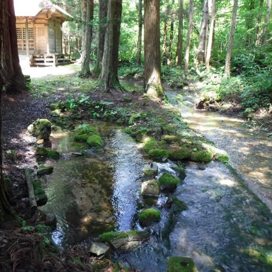 【ふるさと納税】 お米 ひとめぼれ 玄米 令和8年産 10kg 金取ノ米 かねどりのこめ / 米 東北 岩手県 遠野市 宮守町 達曽部 産 多田農産 おこめ ごはん ご飯 白米 国産 送料無料 農家 産地 直送 粘り 8年 令和 数量 限定 収穫 金取地区 湧水 名水 ふるさと 自然 遺跡 - 画像3