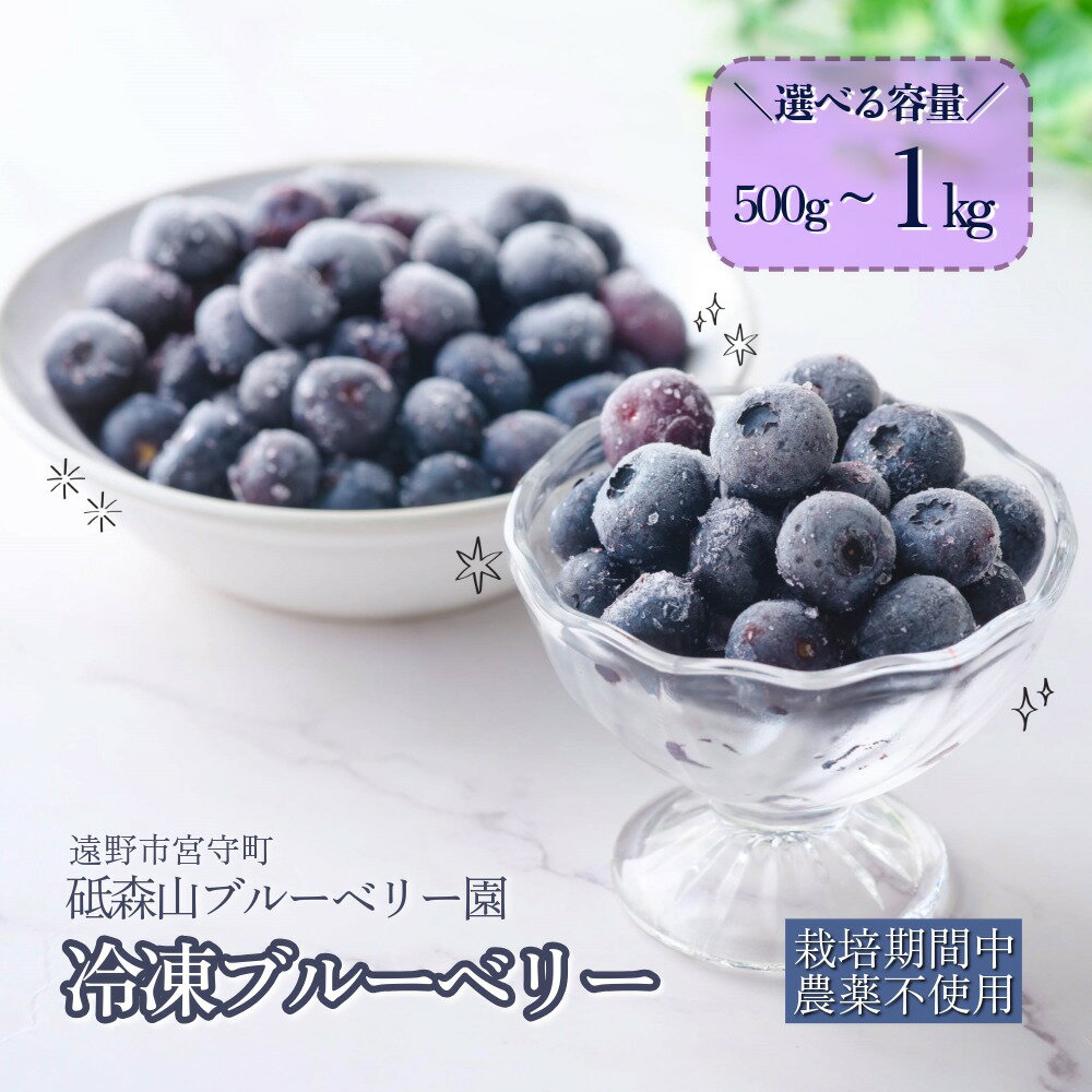 ブルーベリー 冷凍 栽培期間中 農薬不使用 無農薬 大粒 500g 1kg 選べる 容量 大玉 は 1.5mm 以上 東北 岩手県 遠野市 遠野食工房蔵 砥森山ブルーベリー園 宮守町 産 果実 果物 くだもの フルーツ 飲料 健康 美容 視力 抗酸化 無選別 除草剤不使用 送料無料