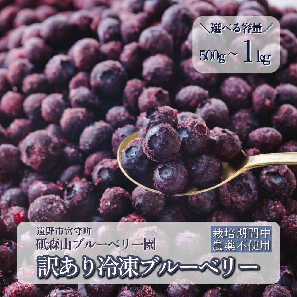 訳あり 冷凍 ブルーベリー 栽培期間中 農薬不使用 無農薬 500g 1kg 選べる 容量 東北 岩手県 遠野市 遠野食工房蔵 砥森山ブルーベリー園生産組合 宮守町 産 果実 果物 くだもの フルーツ 飲料 健康 美容 視力 抗酸化 無選別 加工用 除草剤不使用 送料無料