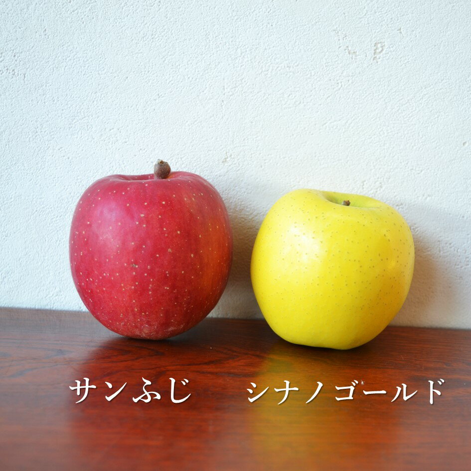 【ふるさと納税】先行予約 りんご 食べ比べ セット サンふじ シナノゴールド 3kg 7個〜9個 5kg 12個〜18個 選べる 松陽園 樹上 完熟 林檎 リンゴ 岩手県 遠野市 産 農家 産地 直送 フルーツ 果物 果実 品種 ギフト お歳暮 味比べ 品種 送料無料 2025年11月から発送 サムネイル2