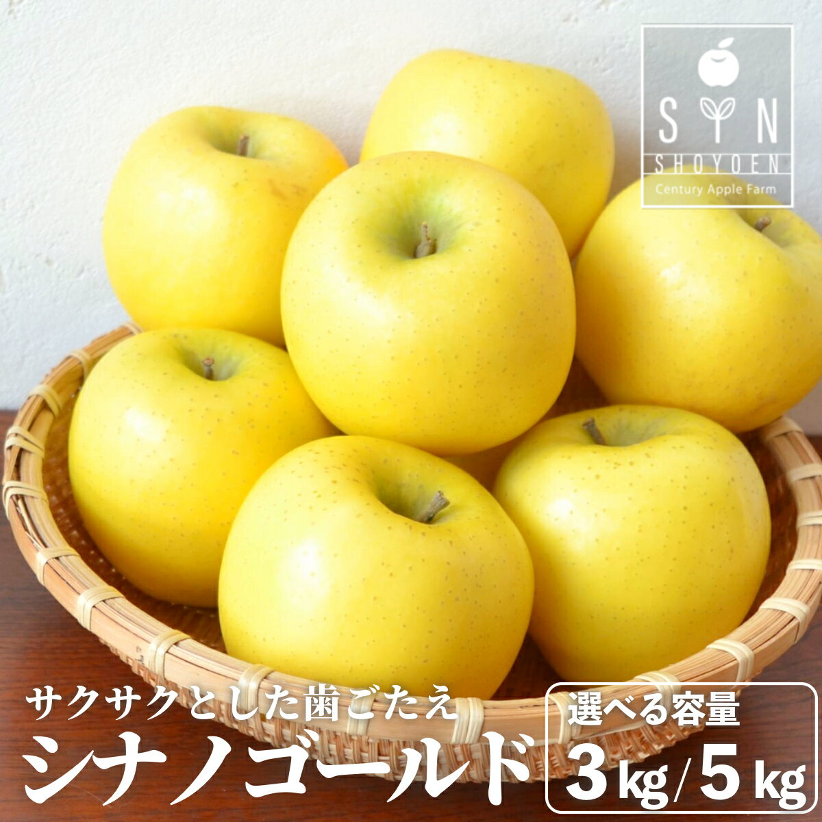 りんご シナノゴールド 3kg 7個〜9個 5kg 12個〜18個 選べる 重量 黄色 林檎 リンゴ アップル 樹上完熟 こだわり 松陽園 東北 岩手県 遠野市 産 農家 産地 直送 フルーツ 果物 果実 ギフト プレゼント お歳暮 お菓子作り お礼 おいしい 送料無料